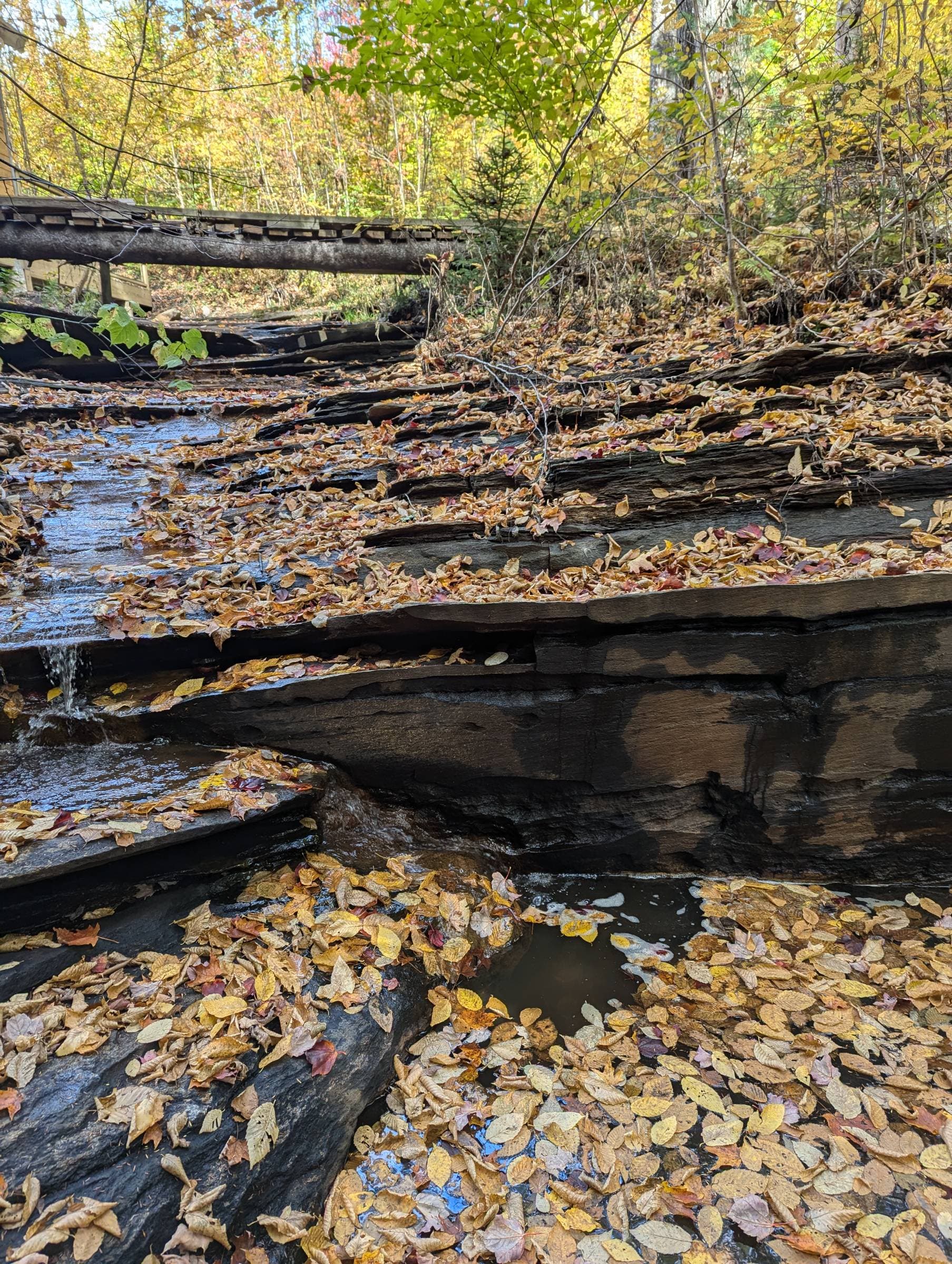 Are there any local hikes?: faq photo